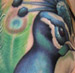 tattoo galleries/ - Peacock sleeve